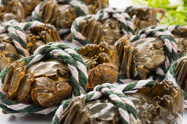 �з�����ܲ��ܳ��� ��ҹ�з�ܲ��ܳ�